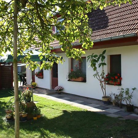 Ferienwohnung Wiesenblick Prerow Eksteriør bilde